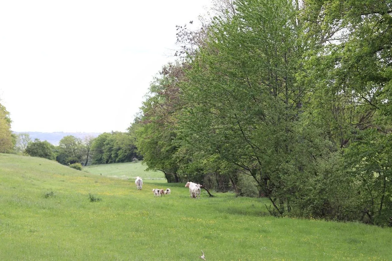 Gite Du Chateau De Preuille Audes Holiday home